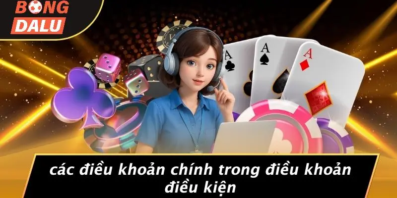 Các Điều Khoản Chính Trong Điều Khoản Điều Kiện