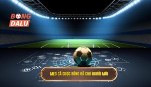 Mẹo cá cược bóng đá cho người mới