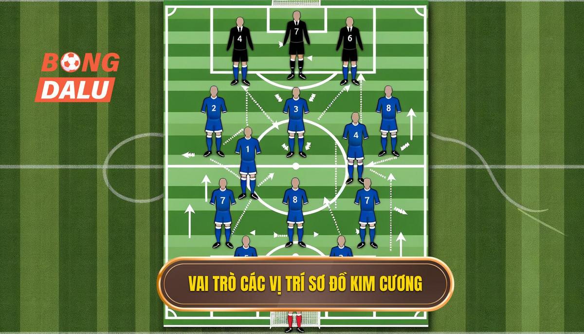 Vai Trò Chi Tiết Của Từng Vị Trí Trong Sơ Đồ Kim Cương Hẹp