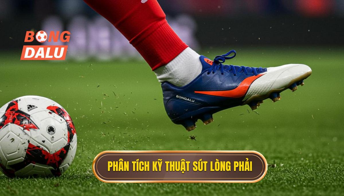 Phân Tích Cơ Học Của Kỹ Thuật Sút Bóng Bằng Lòng Bàn Chân Phải