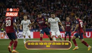 Soi kèo các trận đấu cúp liên đoàn Tây Ban Nha