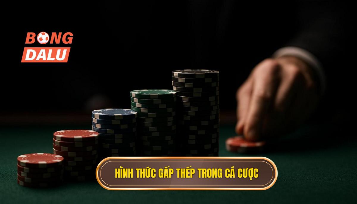 Các hình thức gấp thếp phổ biến trong cá cược hiện đại