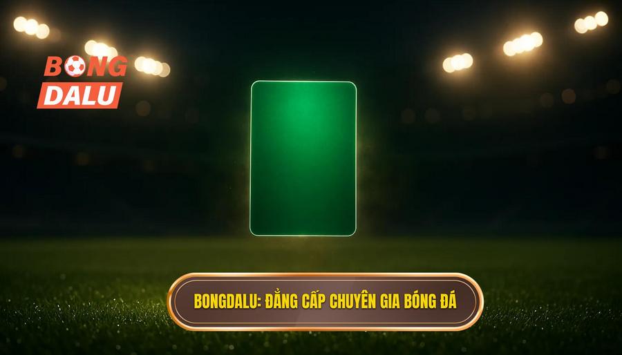 BONGDALU_ Đẳng cấp chuyên gia bóng đá
